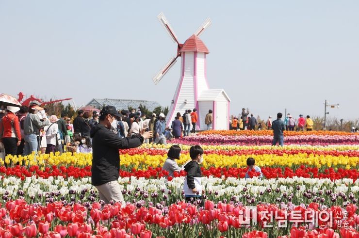 섬 튤립축제